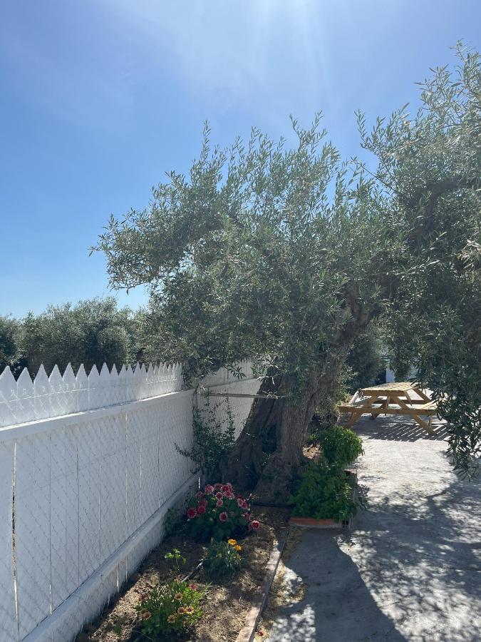 El Gallinero Almoharin Dış mekan fotoğraf